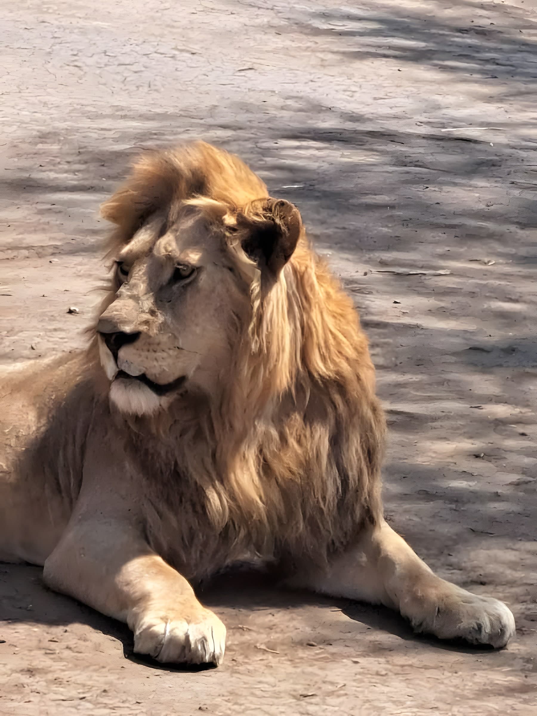 6 Days Tanzania Signature Safari photo 3
