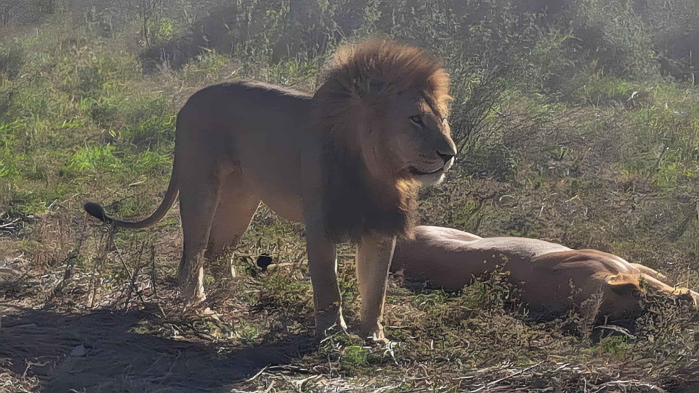 Serengeti National Park photo 4