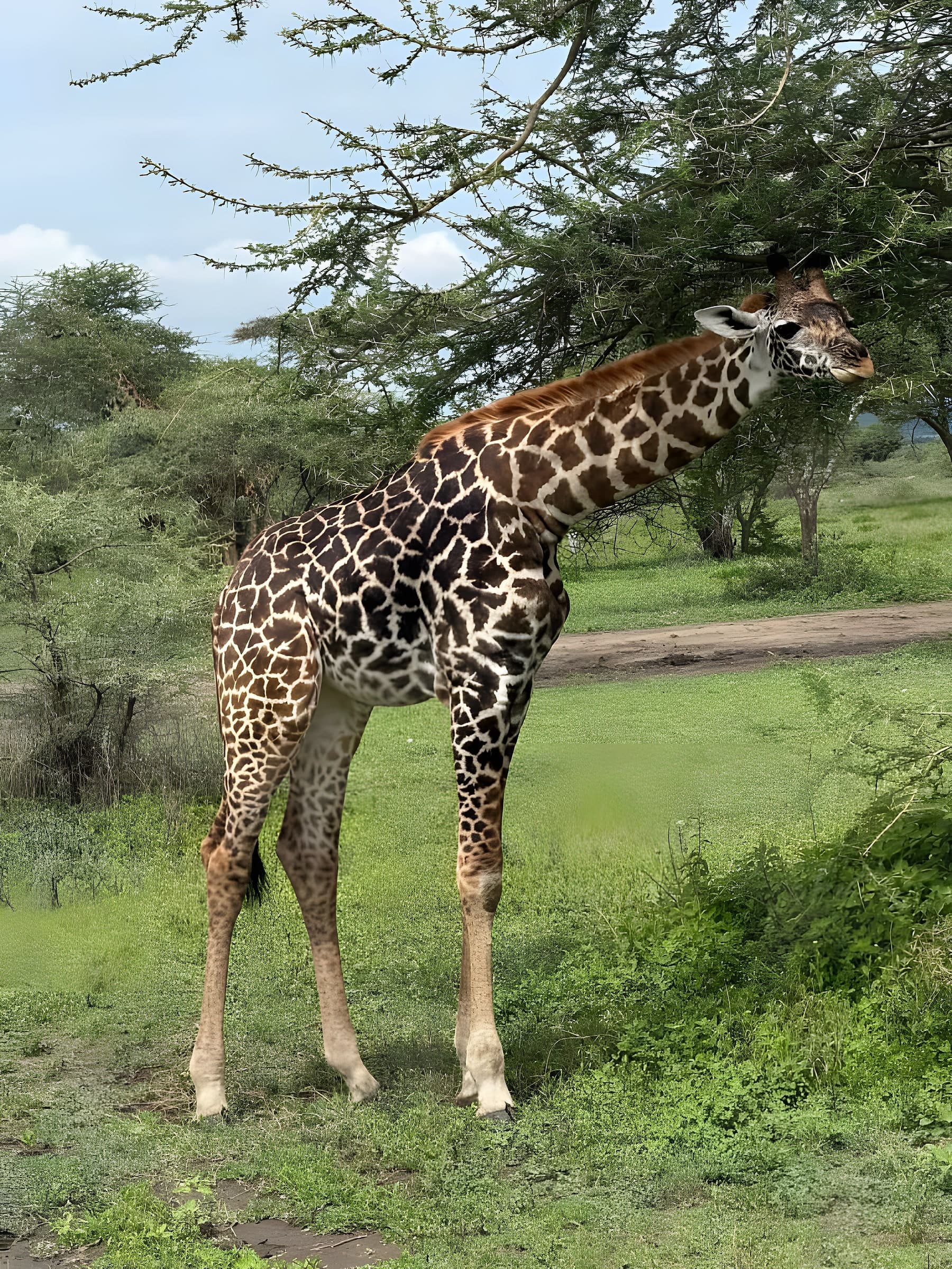 Arusha National Park